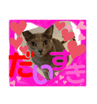 ルルandビビ（個別スタンプ：10）