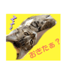 ルルandビビ（個別スタンプ：13）
