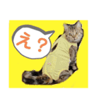 ルルandビビ（個別スタンプ：15）