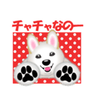 レジェンド柴犬チャチャちゃんスタンプ（個別スタンプ：1）