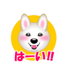 レジェンド柴犬チャチャちゃんスタンプ（個別スタンプ：3）