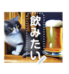 吾輩は酒好き猫である。（個別スタンプ：2）