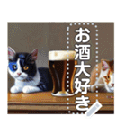 吾輩は酒好き猫である。（個別スタンプ：16）