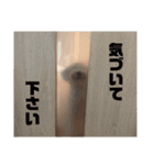 ルーのスタンプ03（個別スタンプ：8）