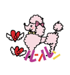 pinkpink-poodle（個別スタンプ：16）