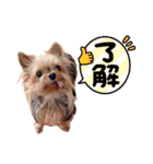 あくびちゃんとえくぼちゃんスタンプ2（個別スタンプ：3）