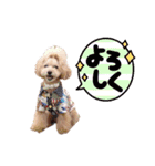 あくびちゃんとえくぼちゃんスタンプ2（個別スタンプ：11）