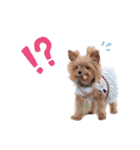 あくびちゃんとえくぼちゃんスタンプ2（個別スタンプ：12）