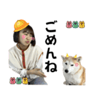 柴犬と猫と時々トイプとダックス6（個別スタンプ：39）