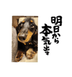 noesuta（個別スタンプ：5）