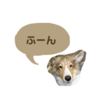フィンチスタンプ（個別スタンプ：5）