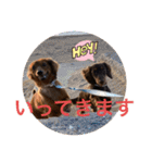 カニンヘン兄弟（個別スタンプ：14）