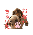カニンヘン兄弟（個別スタンプ：27）