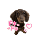 カニンヘン兄弟（個別スタンプ：32）
