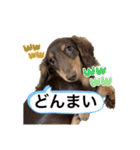 カニンヘン兄弟（個別スタンプ：34）