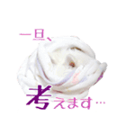 チワワのルル＆レオ＆シェリー vol.1（個別スタンプ：7）