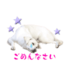 保護犬ゆずちゃんの日常♡（個別スタンプ：16）
