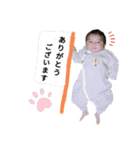 わかととと（個別スタンプ：16）