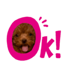 もっぷくんです（個別スタンプ：4）