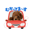 もっぷくんです（個別スタンプ：6）