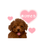 もっぷくんです（個別スタンプ：9）