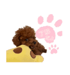 もっぷくんです（個別スタンプ：10）