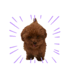 もっぷくんです（個別スタンプ：13）