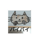 にゃはる（個別スタンプ：6）
