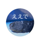 水中ニキ（個別スタンプ：2）