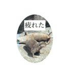 水中ニキ（個別スタンプ：7）