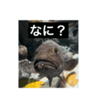 水中ニキ（個別スタンプ：8）