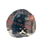 表情豊かで可愛らしい動物スタンプ！〜1〜（個別スタンプ：5）