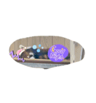 表情豊かで可愛らしい動物スタンプ！〜1〜（個別スタンプ：10）