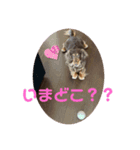 みぽぽぽのスタンプ（個別スタンプ：3）