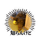 みぽぽぽのスタンプ（個別スタンプ：4）