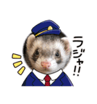 コテコマリ（個別スタンプ：10）
