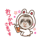 コテコマリ（個別スタンプ：12）