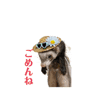 コテコマリ（個別スタンプ：14）
