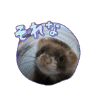 コテコマリ（個別スタンプ：21）