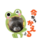 コテコマリ（個別スタンプ：22）