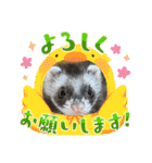 コテコマリ（個別スタンプ：25）