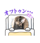 コテコマリ（個別スタンプ：29）