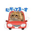 マンチカンのちくわさま2（個別スタンプ：20）