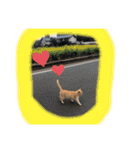 ぬこスタンプその2（個別スタンプ：2）