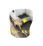 ぬこスタンプその2（個別スタンプ：7）