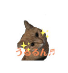 ぬこスタンプその2（個別スタンプ：10）