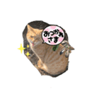 ぬこスタンプその2（個別スタンプ：21）