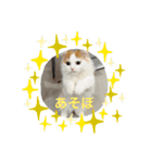 コロナたん（個別スタンプ：4）