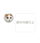 コロナたん（個別スタンプ：15）