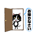 猫のさくらの日常にゃんです。（個別スタンプ：3）